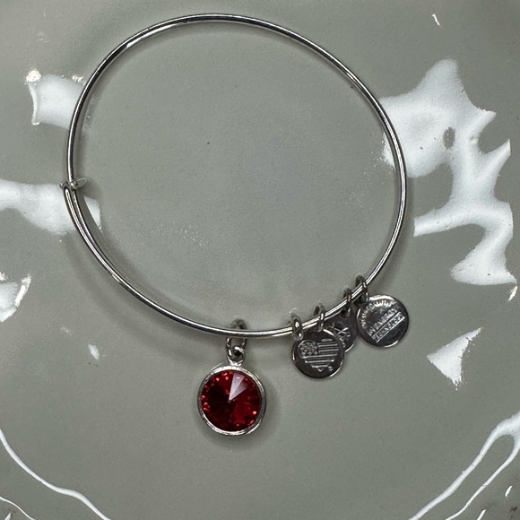 Alex and Ani July Birthstone Charm Bracelet Red Ruby - Picture 2 of 2